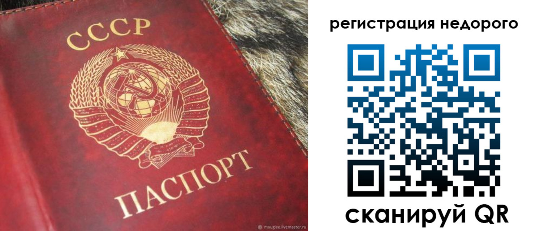 прописка ребенка в Дигоре